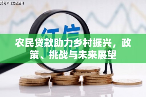 呼玛农民贷款助力乡村振兴，政策、挑战与未来展望