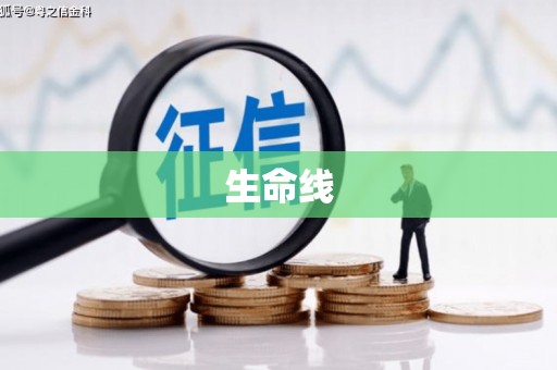 呼玛生命线