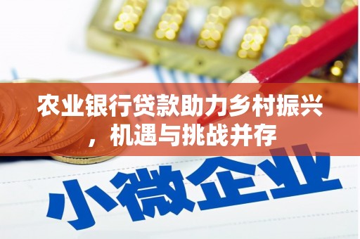呼玛农业银行贷款助力乡村振兴，机遇与挑战并存