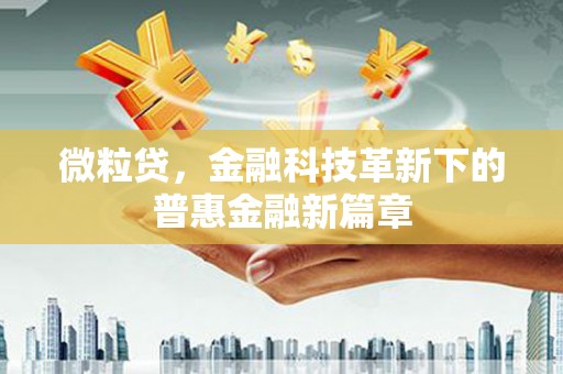 呼玛微粒贷，金融科技革新下的普惠金融新篇章
