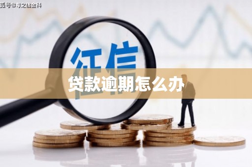 呼玛贷款逾期怎么办