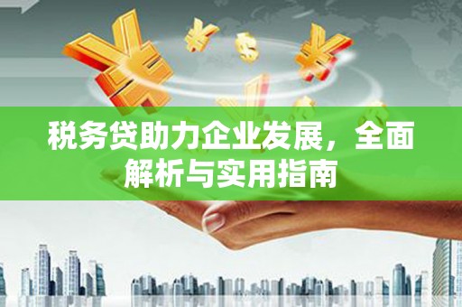 呼玛税务贷助力企业发展，全面解析与实用指南