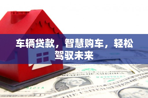 呼玛车辆贷款，智慧购车，轻松驾驭未来