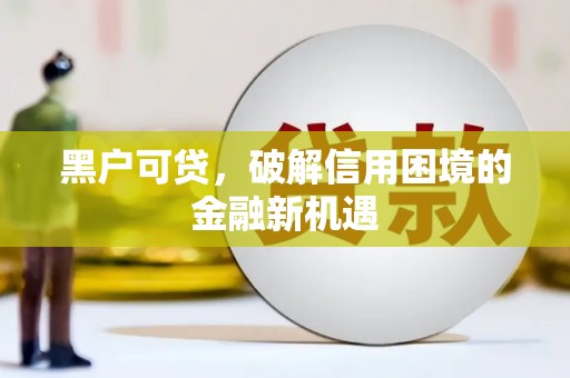 呼玛黑户可贷，破解信用困境的金融新机遇