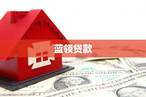 呼玛蓝领贷款