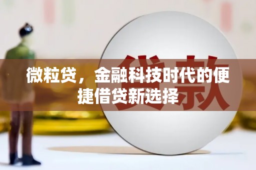 呼玛微粒贷，金融科技时代的便捷借贷新选择