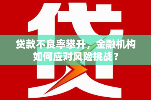 呼玛贷款不良率攀升，金融机构如何应对风险挑战？