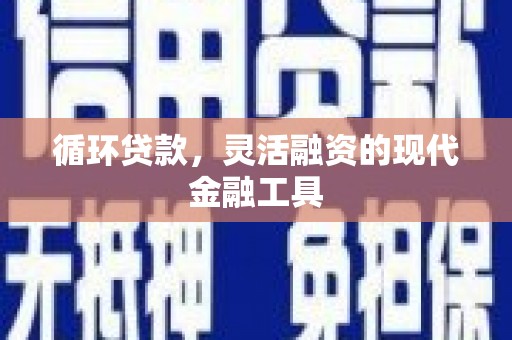 呼玛循环贷款，灵活融资的现代金融工具