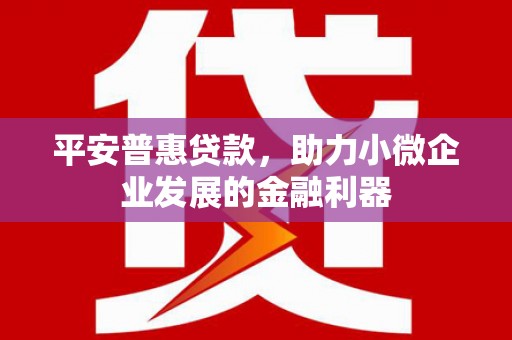 呼玛平安普惠贷款，助力小微企业发展的金融利器