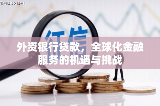 呼玛外资银行贷款，全球化金融服务的机遇与挑战
