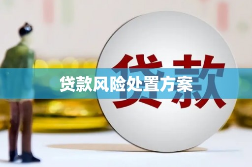 呼玛贷款风险处置方案