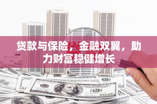 呼玛贷款与保险，金融双翼，助力财富稳健增长