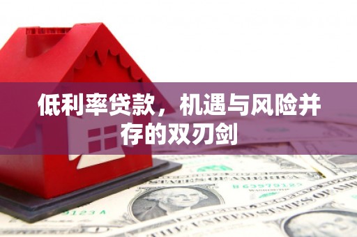 呼玛低利率贷款，机遇与风险并存的双刃剑