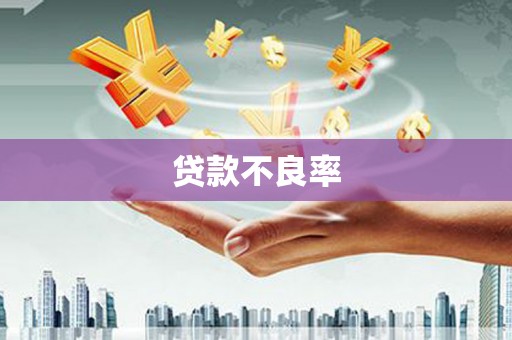 呼玛贷款不良率