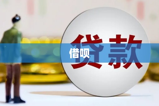 呼玛借呗