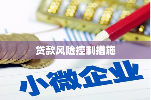 呼玛贷款风险控制措施