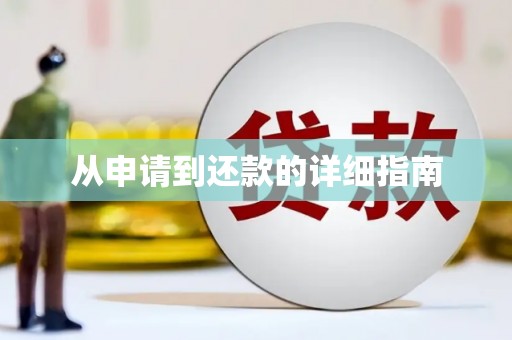 呼玛从申请到还款的详细指南