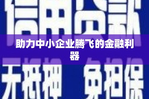 呼玛助力中小企业腾飞的金融利器