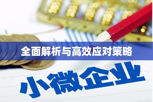 呼玛全面解析与高效应对策略