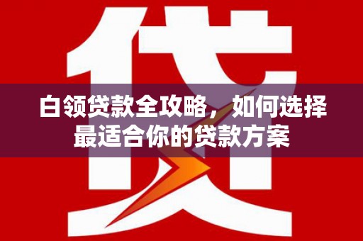 呼玛白领贷款全攻略，如何选择最适合你的贷款方案